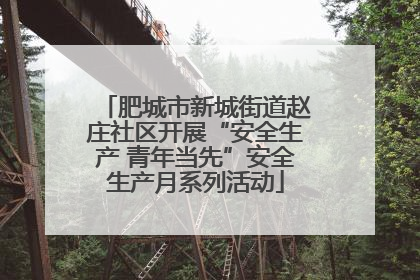 肥城市新城街道赵庄社区开展“安全生产 青年当先”安全生产月系列活动