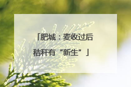 肥城：麦收过后秸秆有“新生”