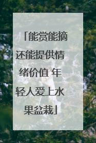 能赏能摘还能提供情绪价值 年轻人爱上水果盆栽