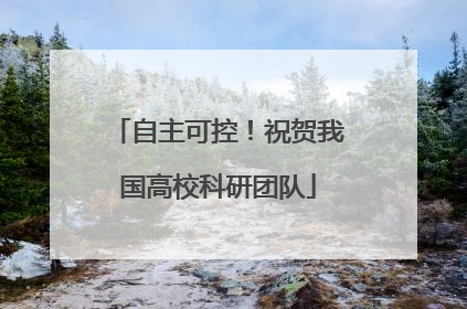 自主可控！祝贺我国高校科研团队