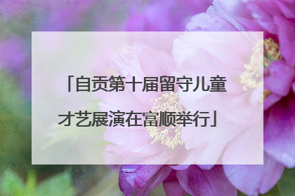 自贡第十届留守儿童才艺展演在富顺举行