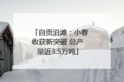 自贡沿滩：小春收获新突破 总产量近3.5万吨