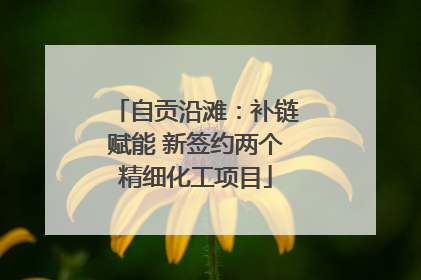 自贡沿滩：补链赋能 新签约两个精细化工项目