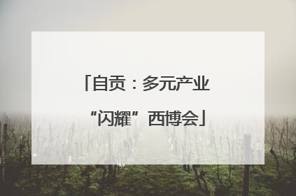 自贡：多元产业“闪耀”西博会