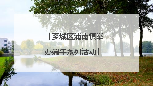 芗城区浦南镇举办端午系列活动