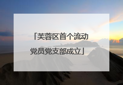 芙蓉区首个流动党员党支部成立