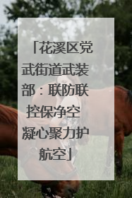 花溪区党武街道武装部：联防联控保净空 凝心聚力护航空