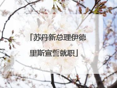 苏丹新总理伊德里斯宣誓就职