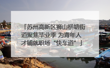 苏州高新区狮山横塘街道聚焦毕业季 为青年人才铺就职场“快车道”