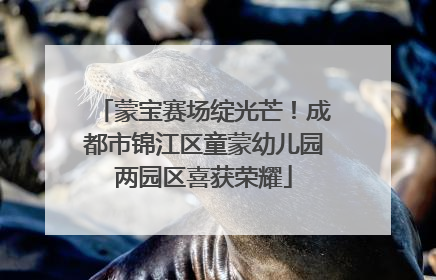 蒙宝赛场绽光芒！成都市锦江区童蒙幼儿园两园区喜获荣耀