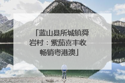 蓝山县所城镇舜岩村：紫茄喜丰收 畅销粤港澳