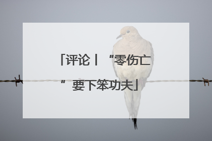 评论丨“零伤亡”要下笨功夫