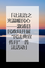让法治之光温暖民心——溆浦县民政局开展“民法典宣传月” 普法活动