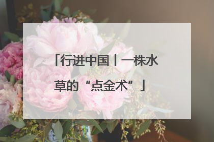 行进中国丨一株水草的“点金术”