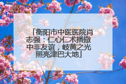 衡阳市中医医院肖志强：仁心仁术播撒中非友谊，岐黄之光照亮津巴大地