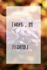 褚伟，晋升副部