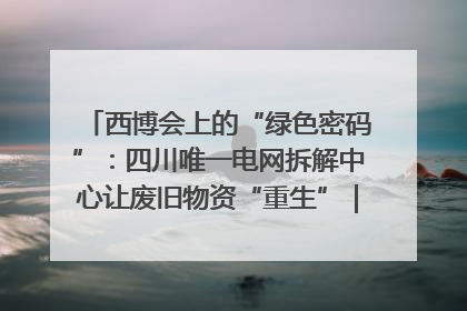 西博会上的“绿色密码”：四川唯一电网拆解中心让废旧物资“重生”｜西博寻“新”记