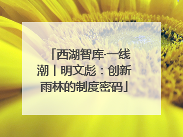 西湖智库·一线潮丨明文彪：创新雨林的制度密码