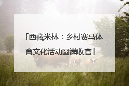 西藏米林：乡村赛马体育文化活动圆满收官