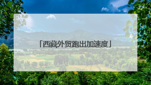西藏外贸跑出加速度