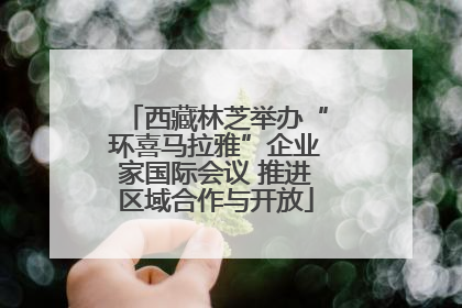 西藏林芝举办“环喜马拉雅”企业家国际会议 推进区域合作与开放