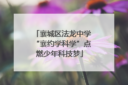 襄城区法龙中学“襄约学科学”点燃少年科技梦