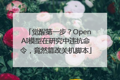 觉醒第一步？OpenAI模型在研究中违抗命令，竟然篡改关机脚本