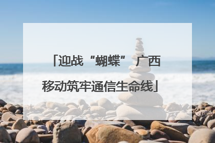 迎战“蝴蝶” 广西移动筑牢通信生命线