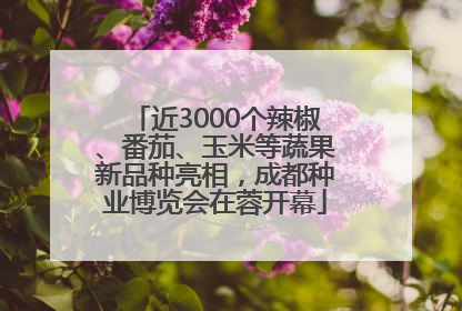 近3000个辣椒、番茄、玉米等蔬果新品种亮相，成都种业博览会在蓉开幕