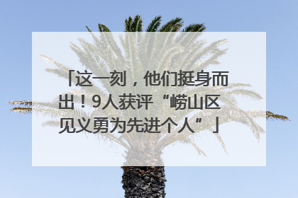 这一刻，他们挺身而出！9人获评“崂山区见义勇为先进个人”