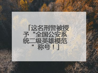 这名刑警被授予“全国公安系统二级英雄模范”称号！