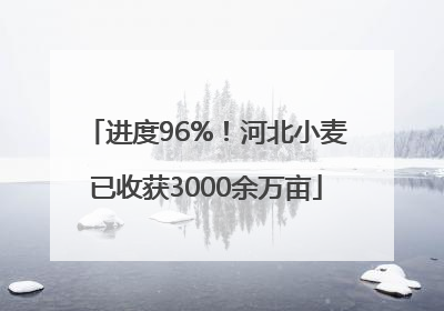 进度96%！河北小麦已收获3000余万亩
