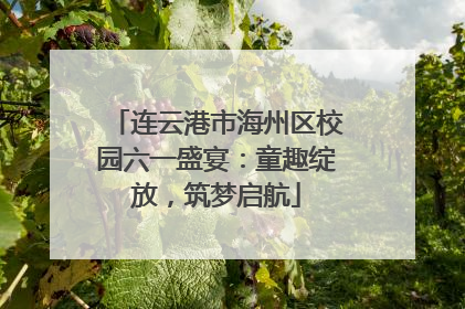 连云港市海州区校园六一盛宴：童趣绽放，筑梦启航
