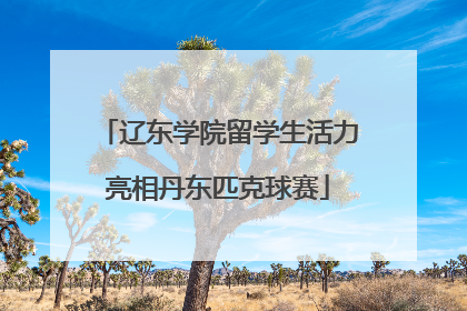 辽东学院留学生活力亮相丹东匹克球赛