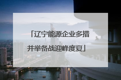 辽宁能源企业多措并举备战迎峰度夏