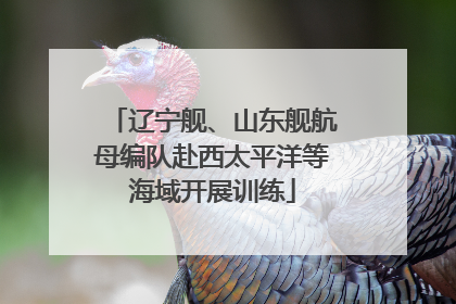 辽宁舰、山东舰航母编队赴西太平洋等海域开展训练