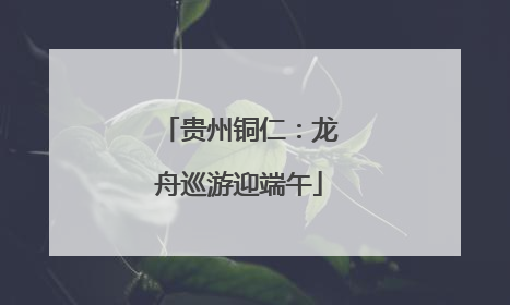 贵州铜仁：龙舟巡游迎端午
