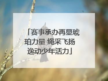 赛事承办再显琥珀力量 绳采飞扬逸动少年活力