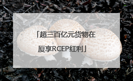超三百亿元货物在厦享RCEP红利