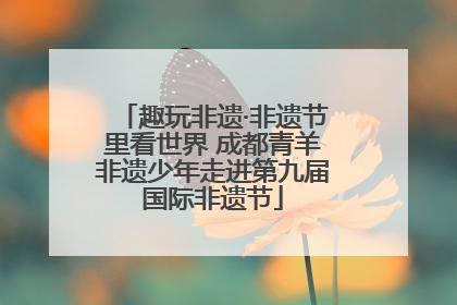 趣玩非遗·非遗节里看世界 成都青羊非遗少年走进第九届国际非遗节