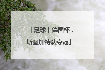 足球｜德国杯：斯图加特队夺冠