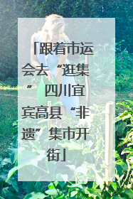 跟着市运会去“逛集” 四川宜宾高县“非遗”集市开街