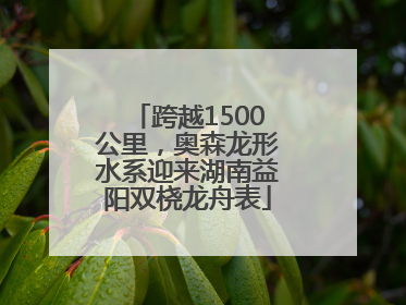 跨越1500公里，奥森龙形水系迎来湖南益阳双桡龙舟表