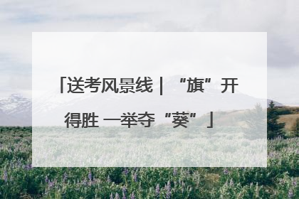 送考风景线｜“旗”开得胜 一举夺“葵”