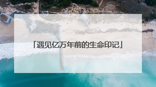 遇见亿万年前的生命印记