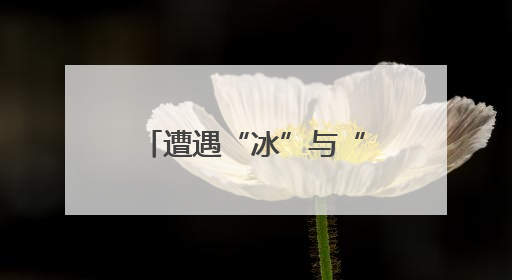 遭遇“冰”与“火”双重践踏 昔日“爱乐之城”洛杉矶已面目全非