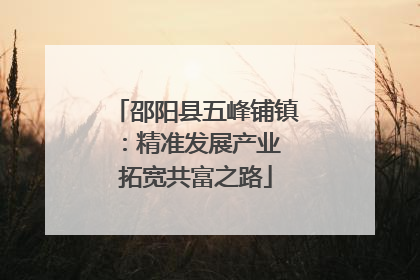 邵阳县五峰铺镇：精准发展产业 拓宽共富之路