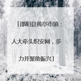邵阳县黄亭市镇：人大牵头织安网，多力并聚助振兴
