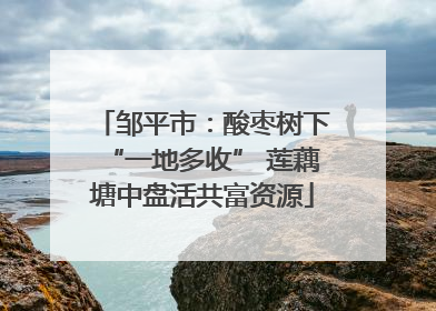 邹平市：酸枣树下“一地多收” 莲藕塘中盘活共富资源