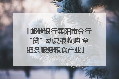 邮储银行襄阳市分行“贷”动夏粮收购 全链条服务粮食产业